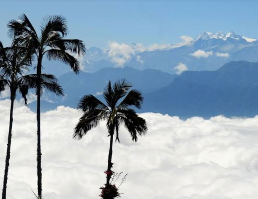 Heiliges Ayahuasca-Retreat in Santa Marta, Kolumbien