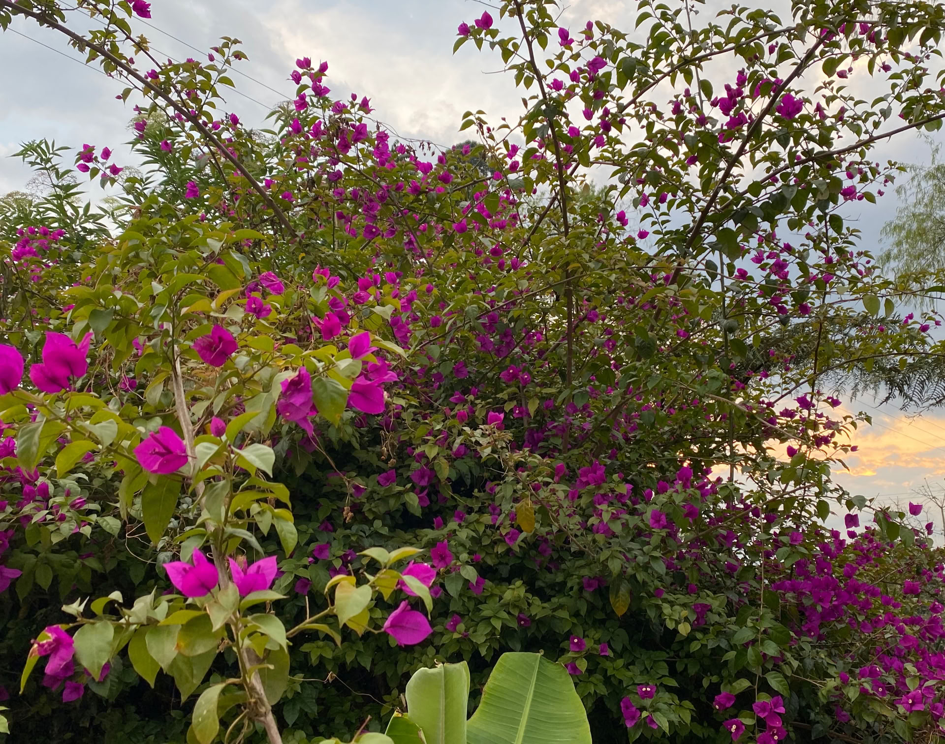 Heiliges Ayahuasca-Retreat in Santa Marta, Kolumbien