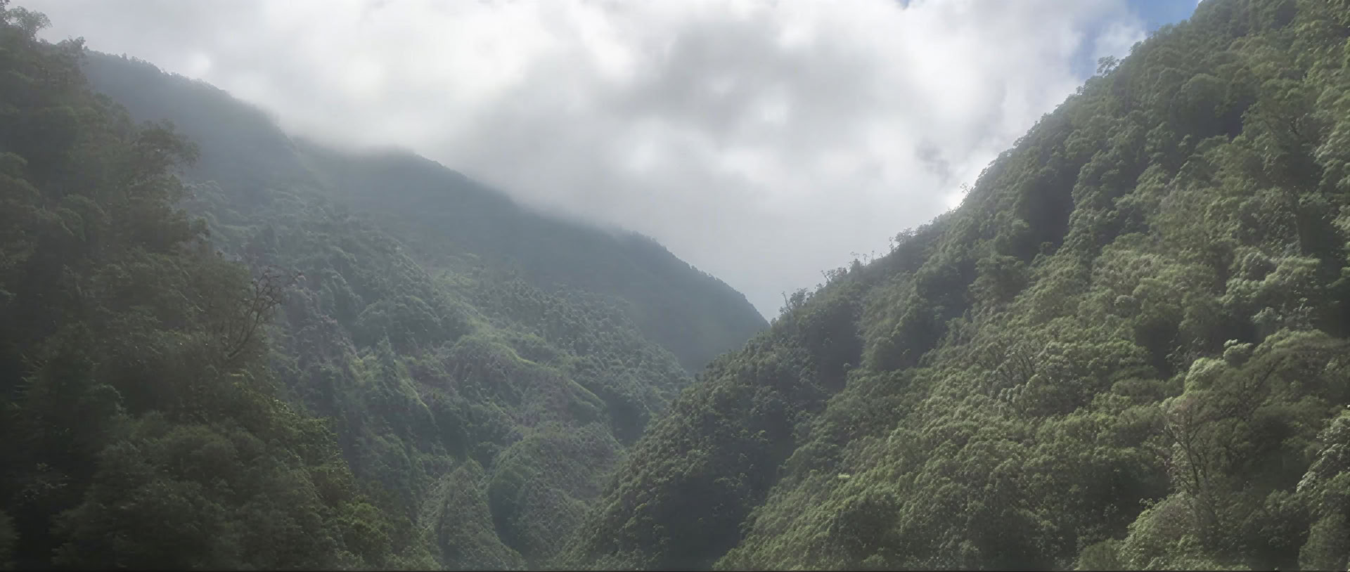 Ayahuasca-Retreat