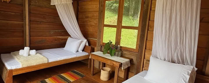 8-Tage | Neujahrsretreat — Dschungelharmonie