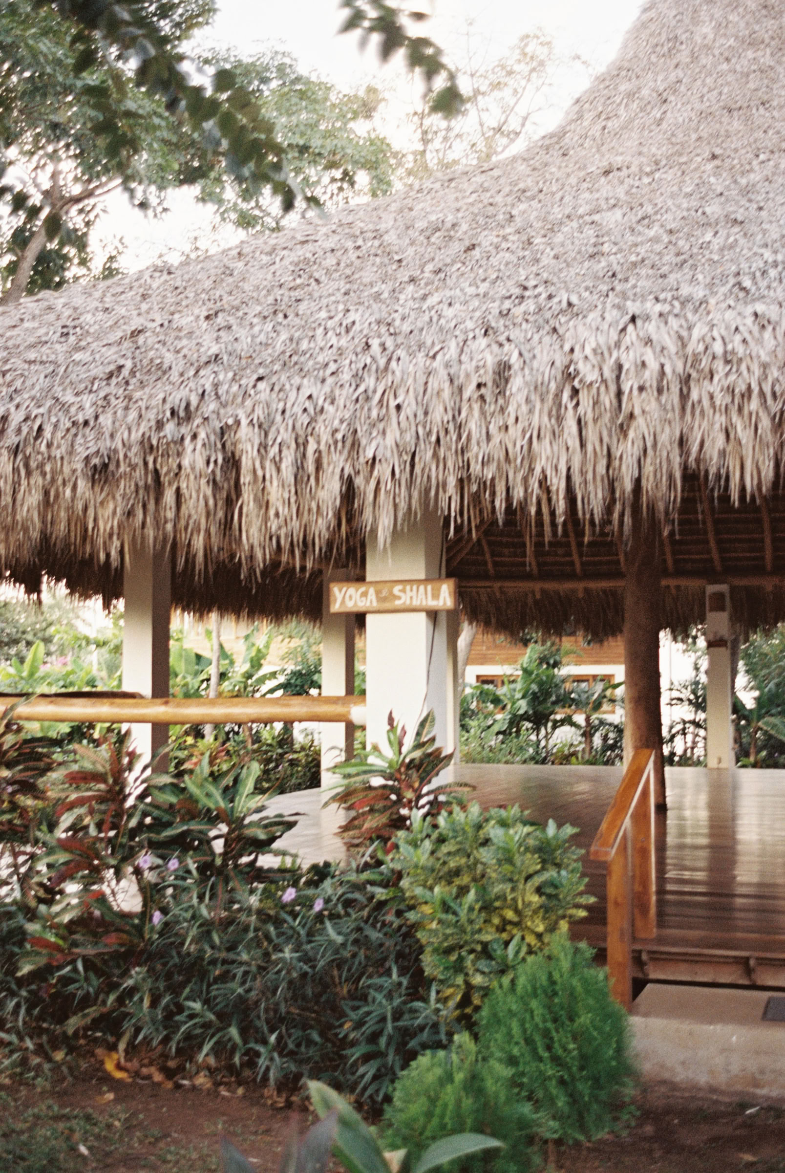 Pure Präsenz Yoga-Retreat
