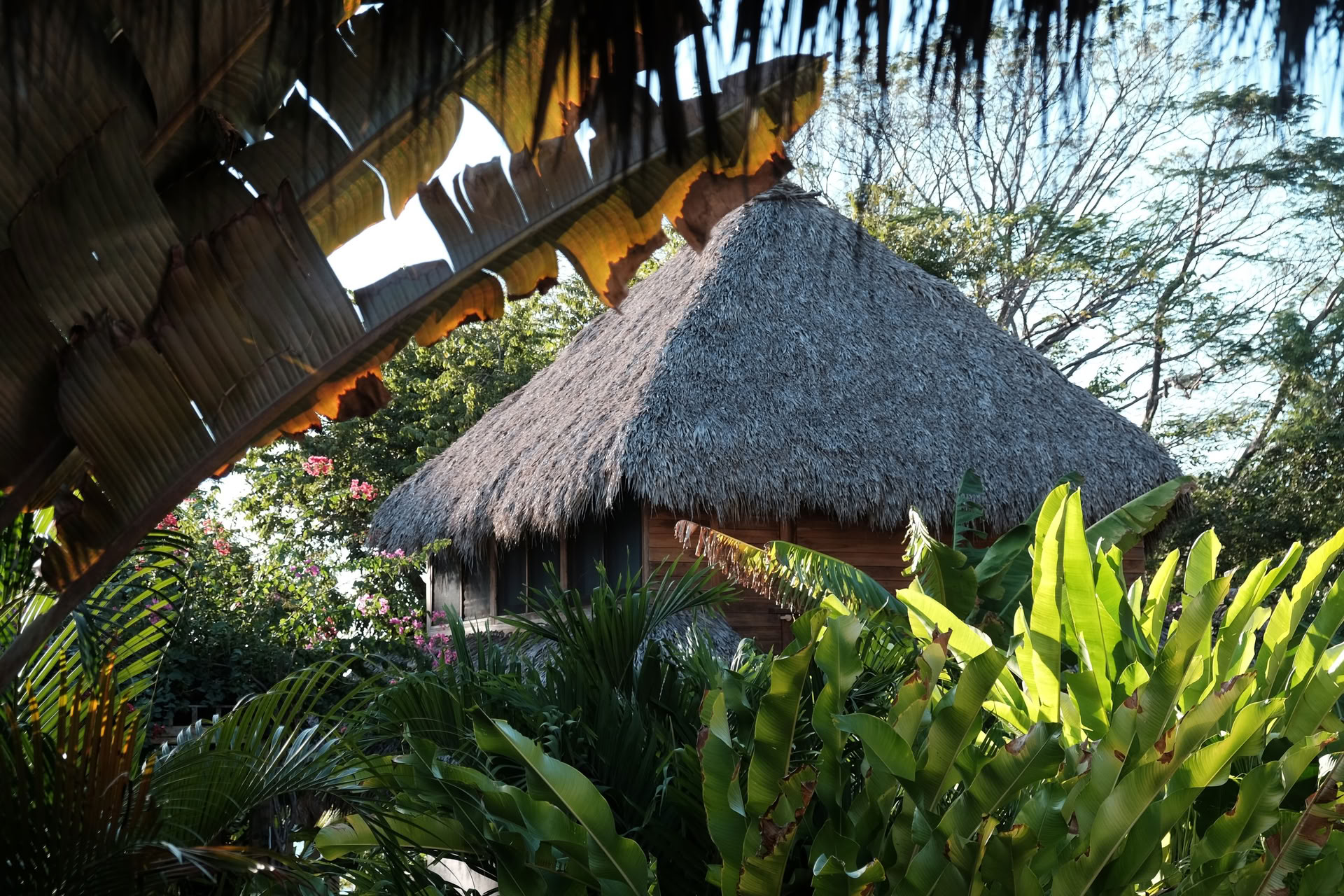 Sol Space Yoga-Retreat
