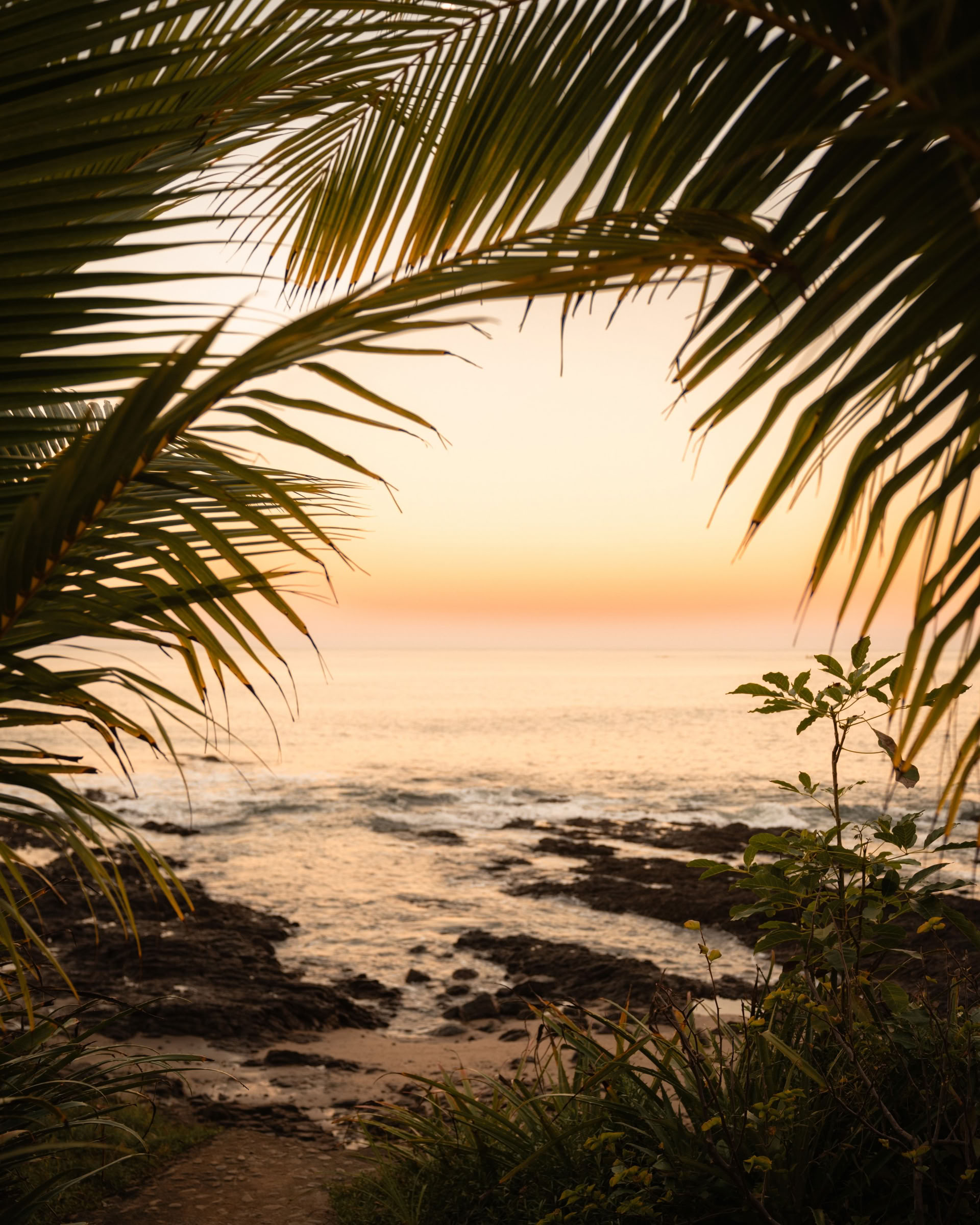 Sol Space Yoga-Retreat