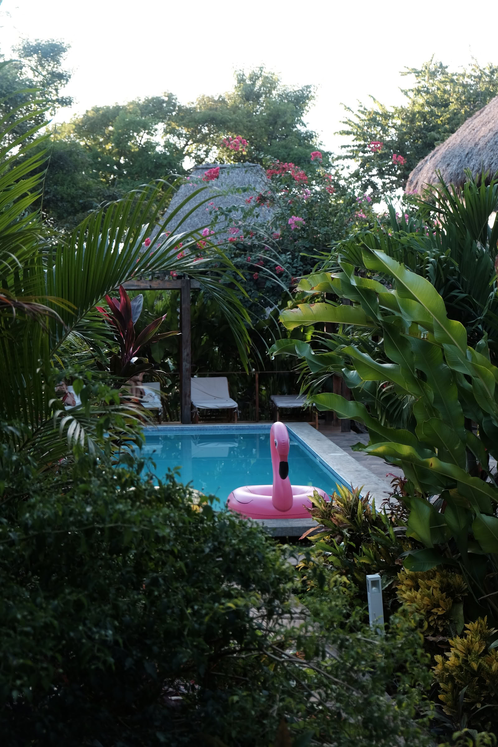 Wildes Nicaragua Yoga-Retreat