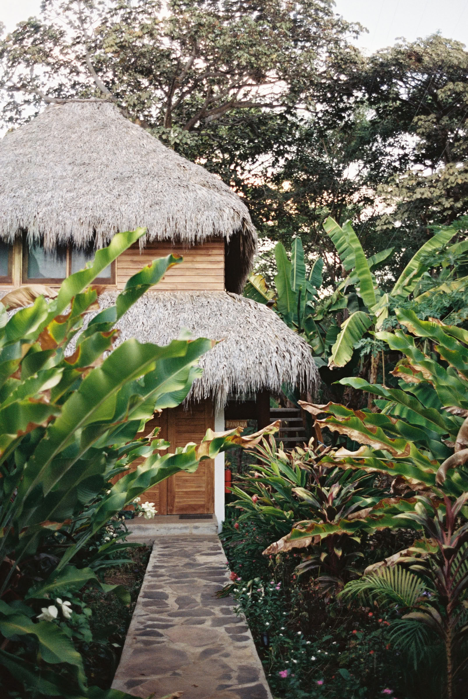 Wildes Nicaragua Yoga-Retreat