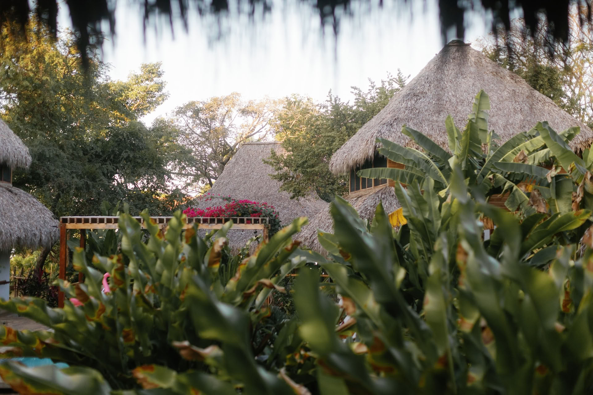 Wildes Nicaragua Yoga-Retreat