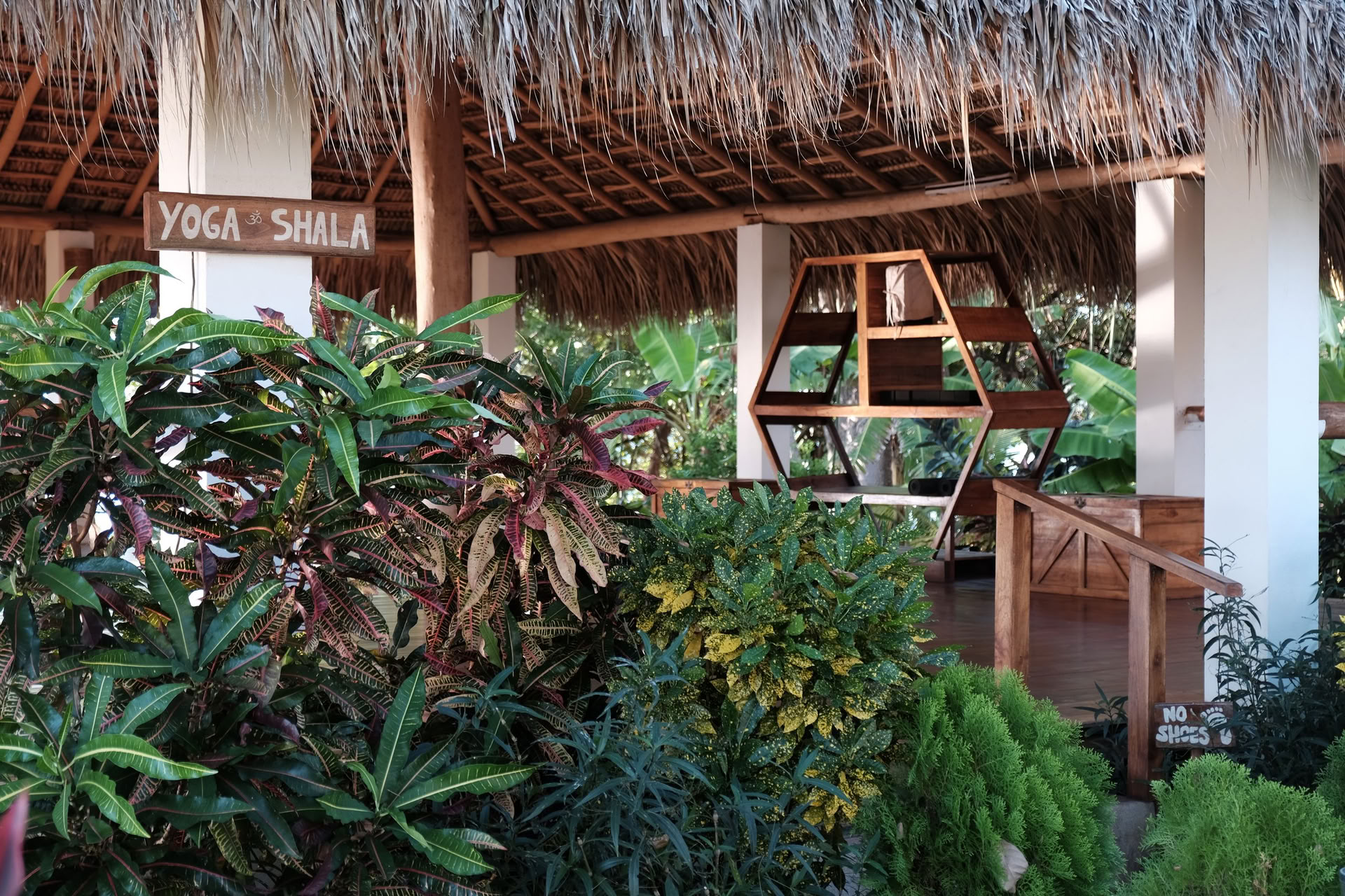 Wildes Nicaragua Yoga-Retreat