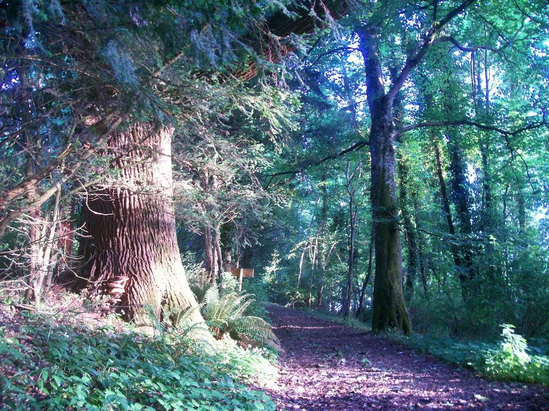 Wochenend-Retreats in Irland
