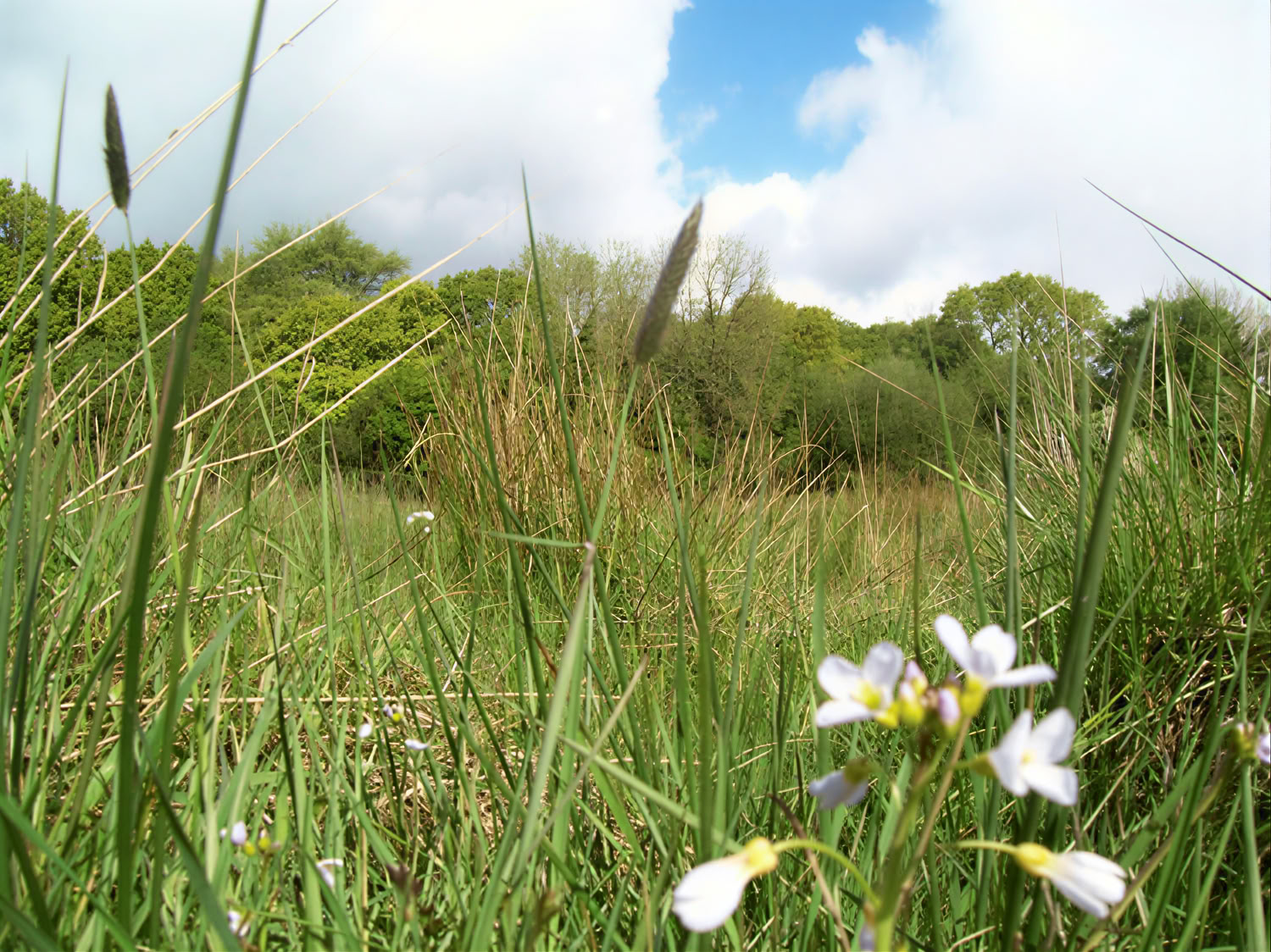 Stille und Ruhe: Vipassana-Retreat