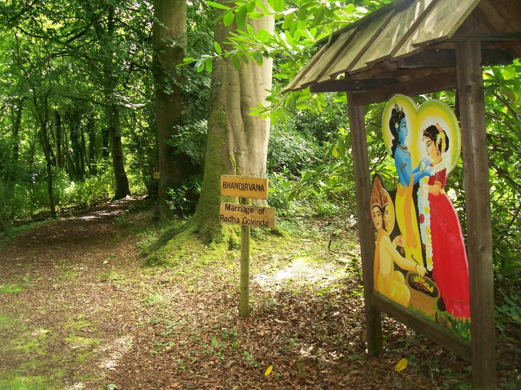 Festliches Verjüngungs-Retreat
