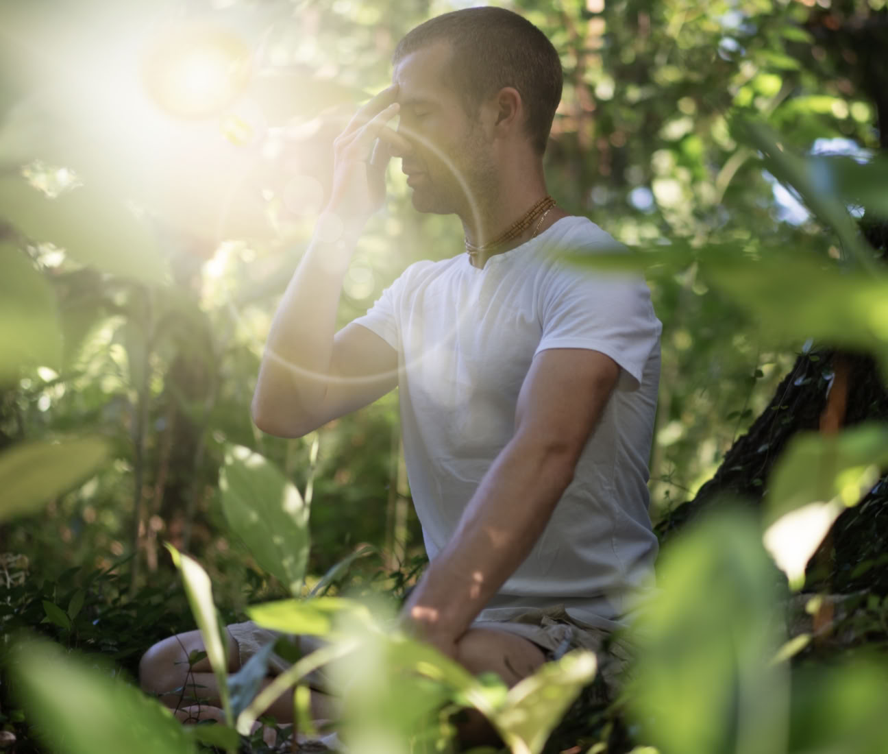Living Ayurveda Retreat