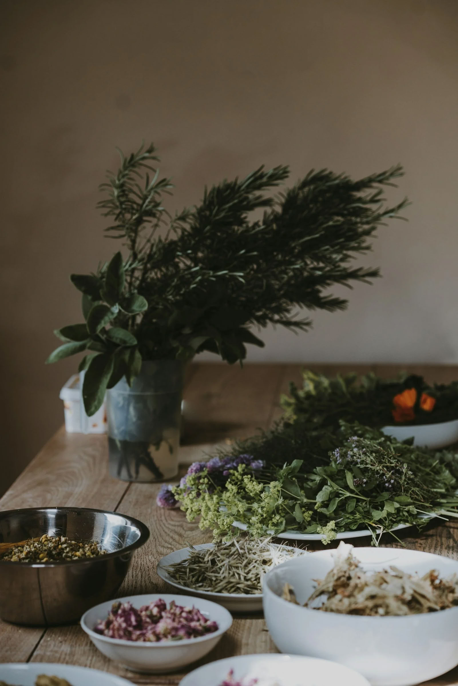 Living Ayurveda Retreat