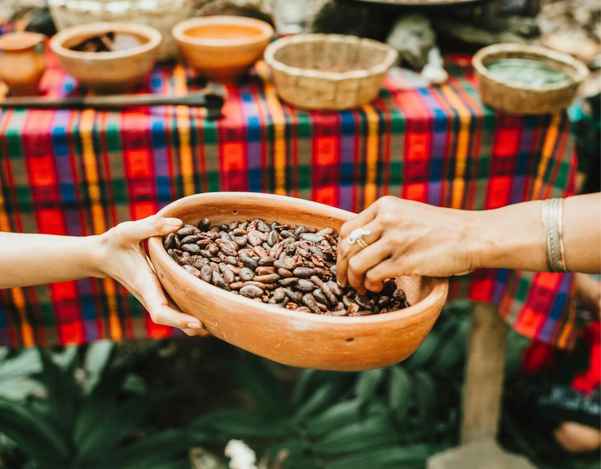 Cacao Source Training