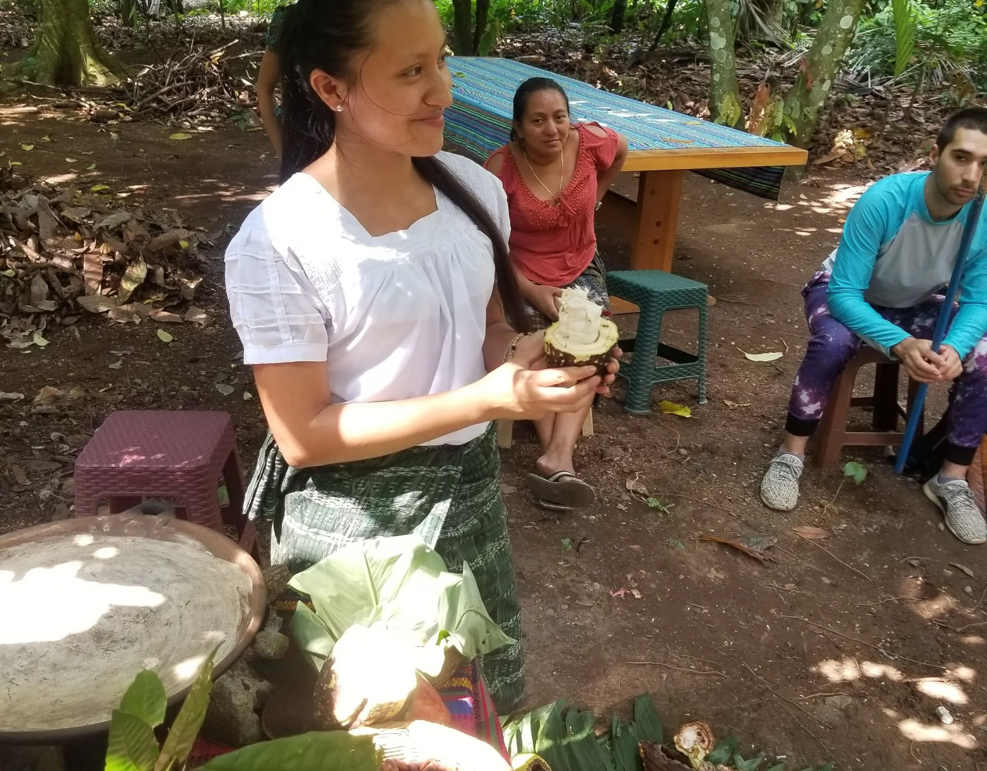 Cacao Source Training