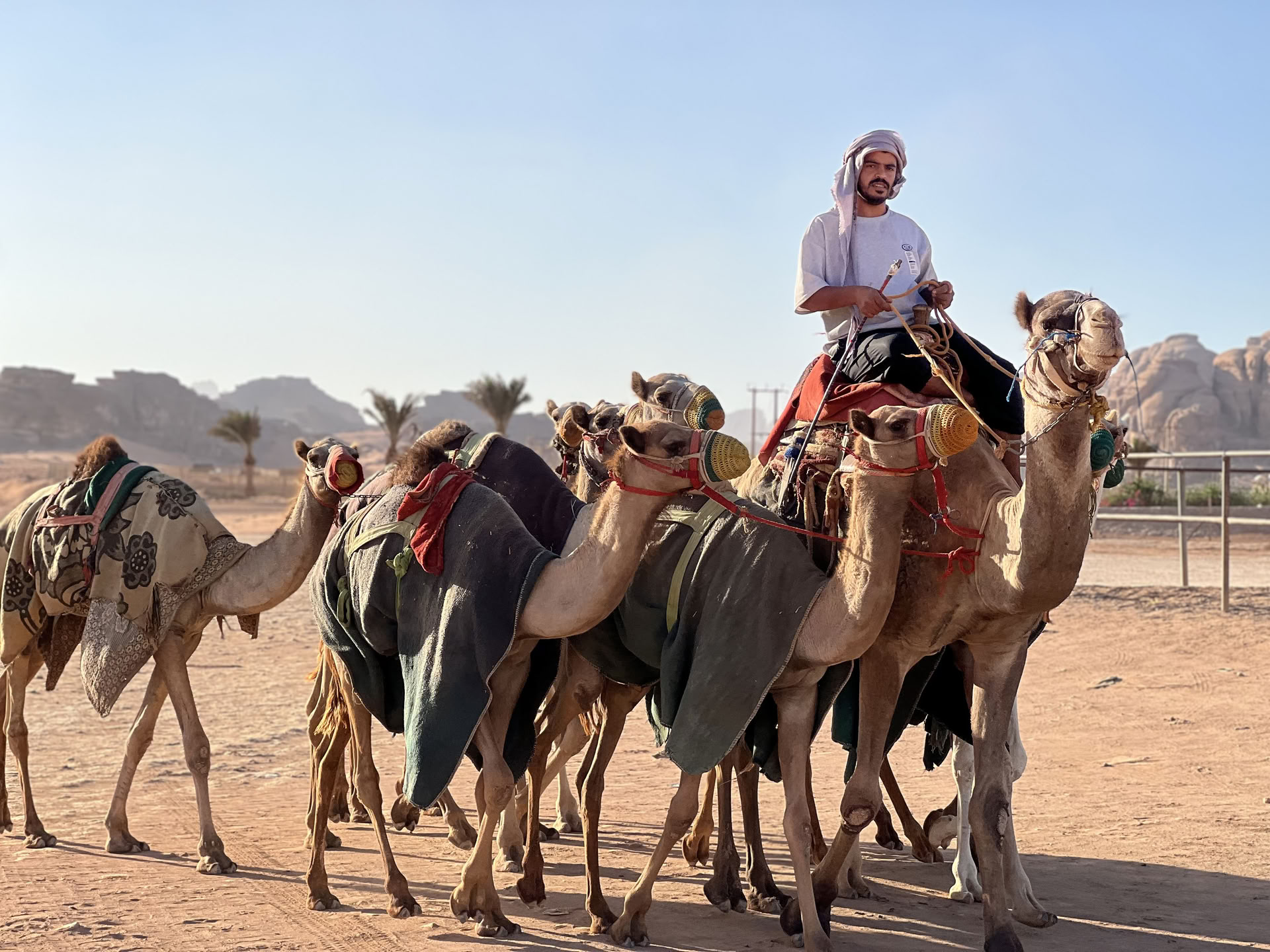 4-tägiges Kamel-Trekking-Abenteuer mit Beduinen in Wadi Rum, Jordanien