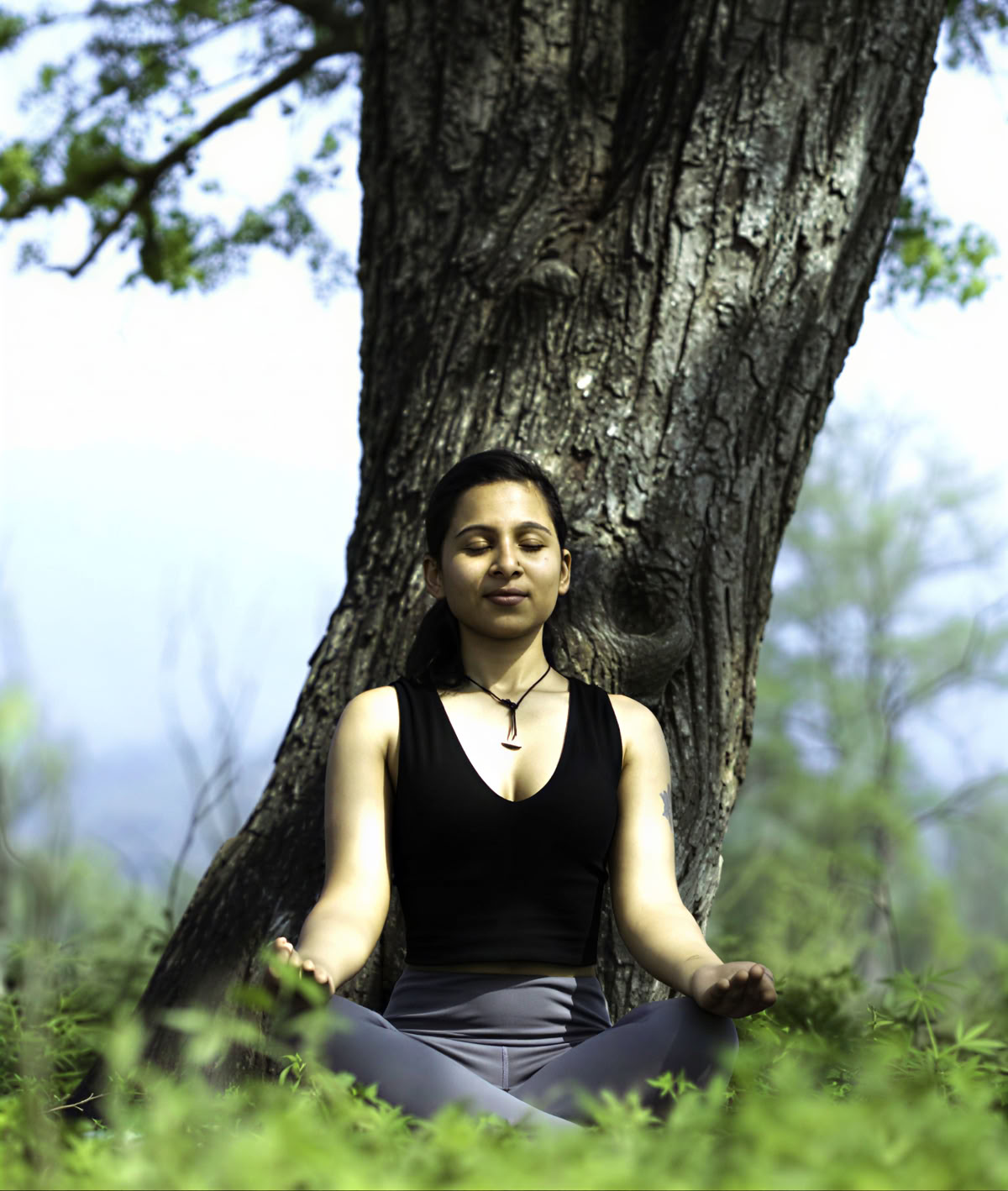 300-Stunden Traditional Yoga TTC