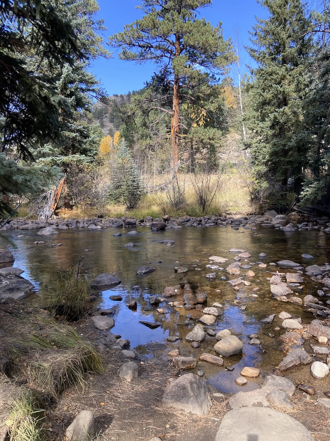 Rocky Mountain Retreat - 5 Tage