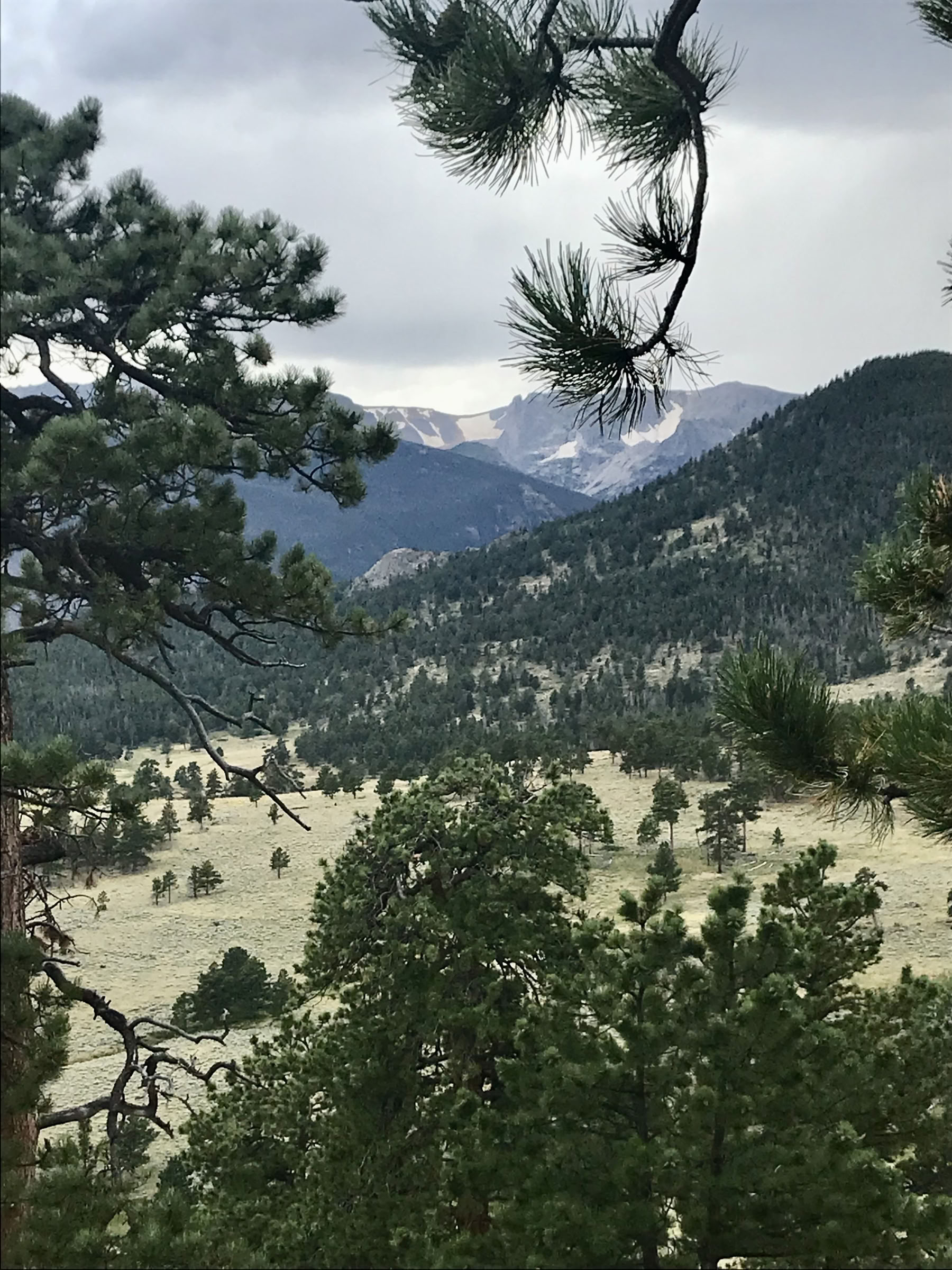 Rocky Mountain Retreat - 5 Tage