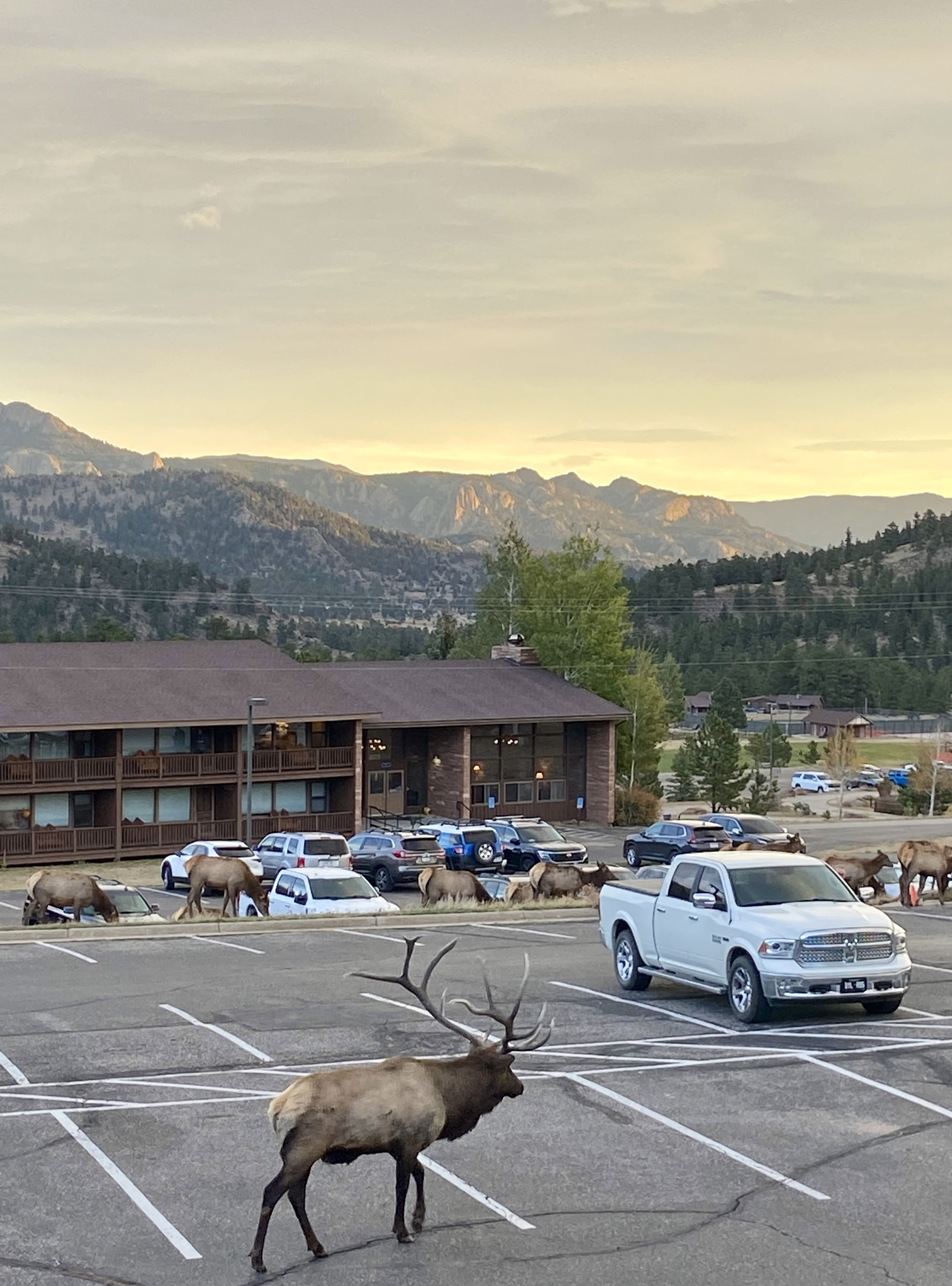 Rocky Mountain Retreat - 5 Tage