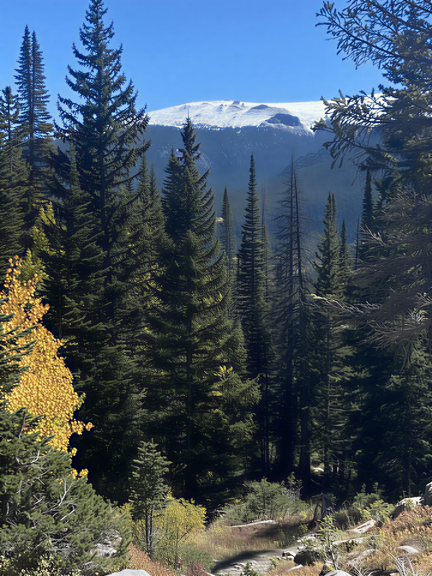 Rocky Mountain Retreat - 5 Tage
