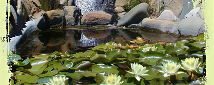 Yoga und die Kunst des achtsamen Kochens