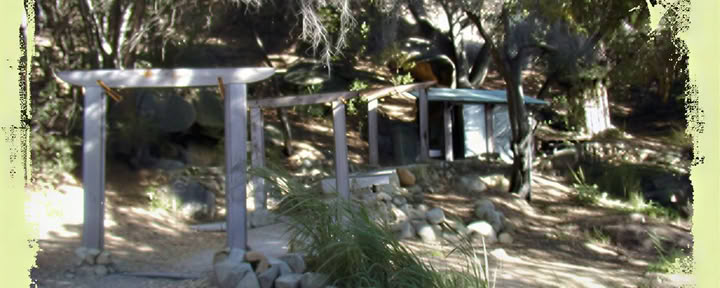 Labor Day Yoga Retreat