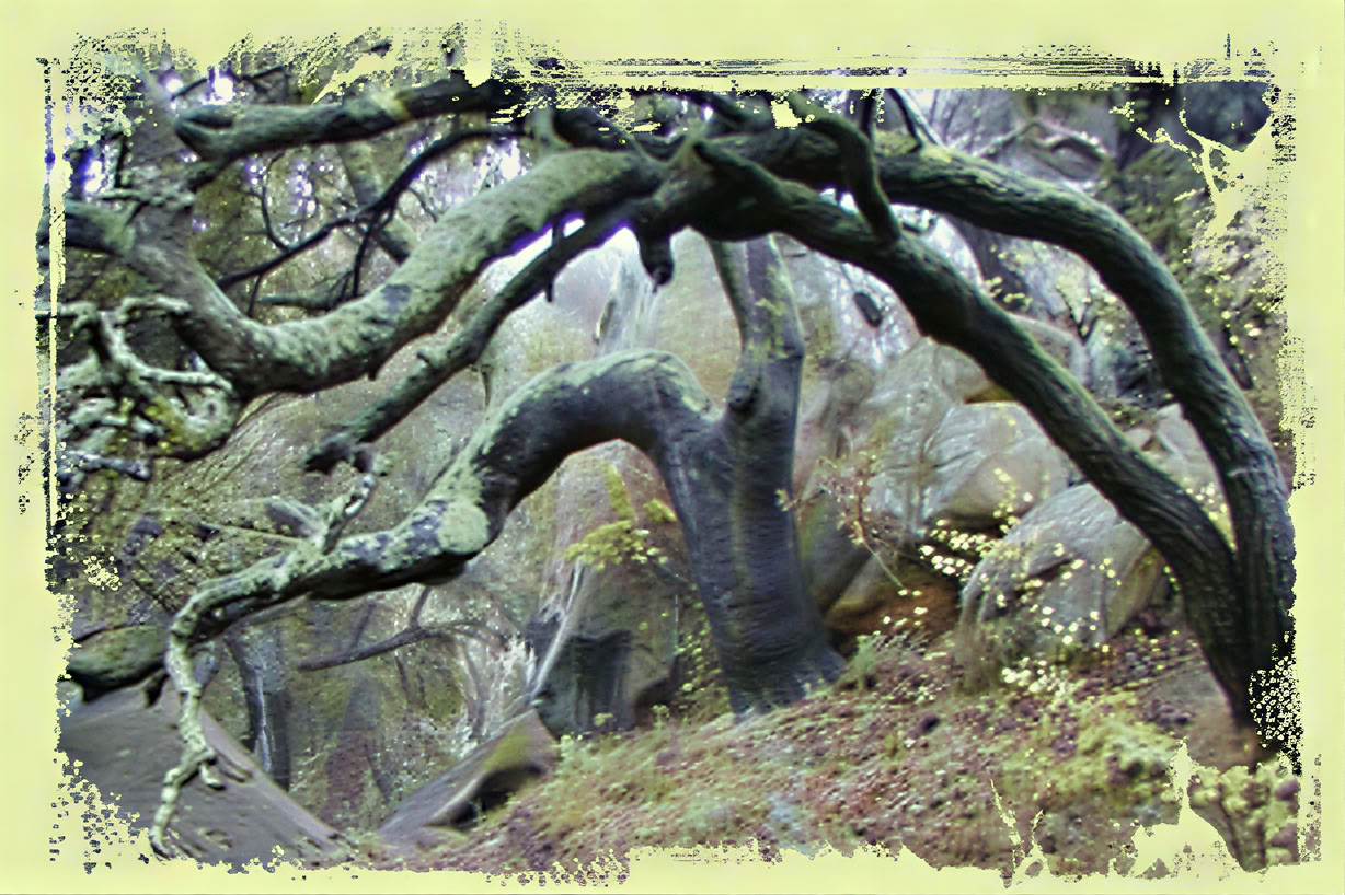Sanctuary - Persönliches Meditations-Retreat