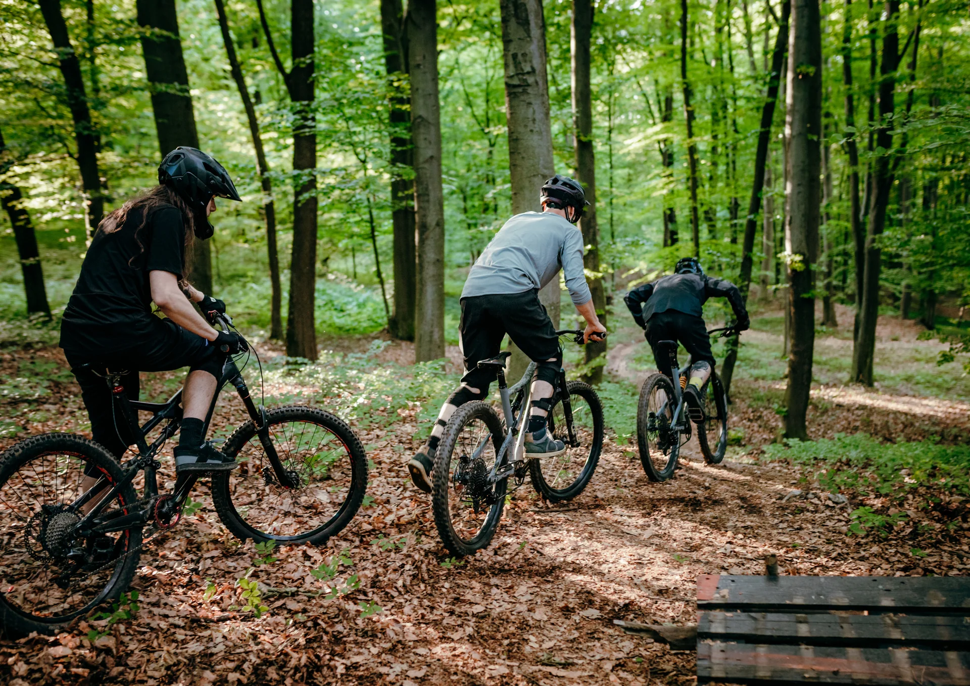 Der Waldspaziergang