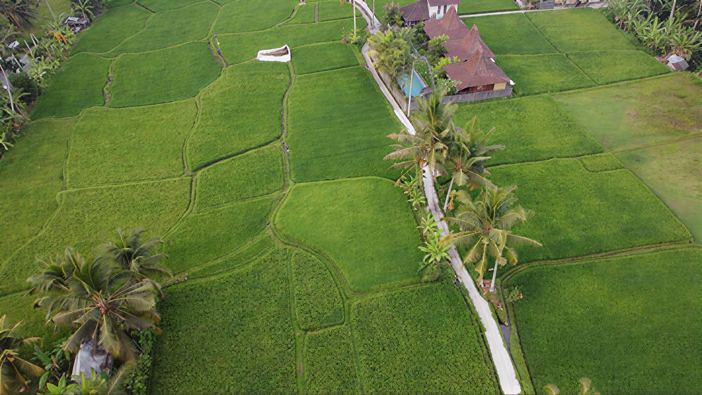 Deine Woche im Bali Yoga Retreat