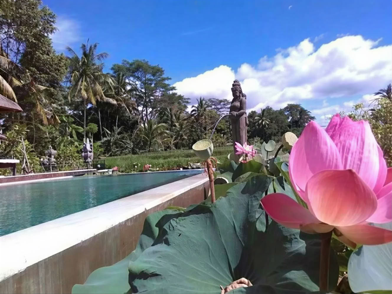 Deine Woche im Bali Yoga Retreat