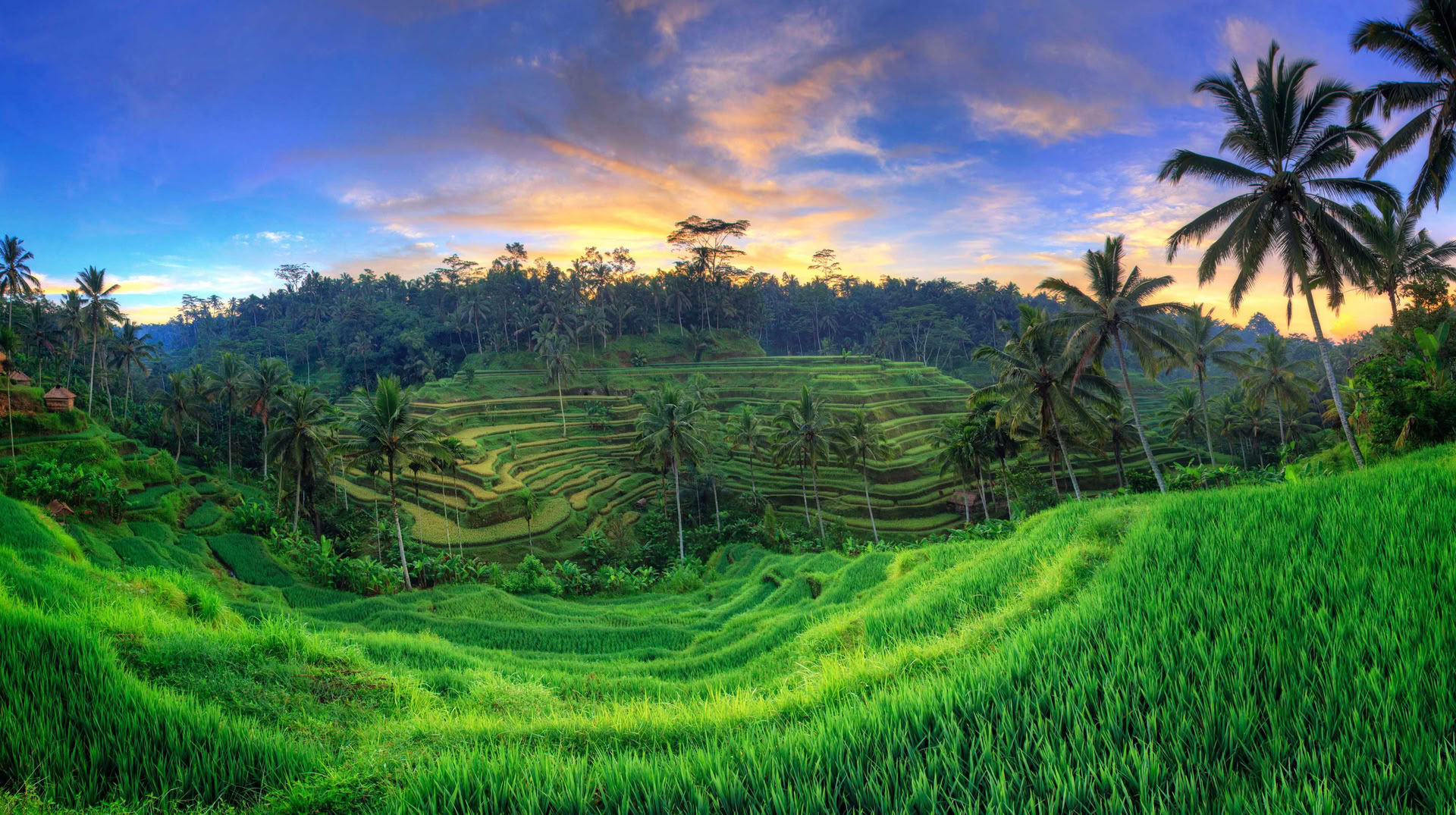 Unvergessliches 7-tägiges Yoga Retreat im Firefly Retreat Bali
