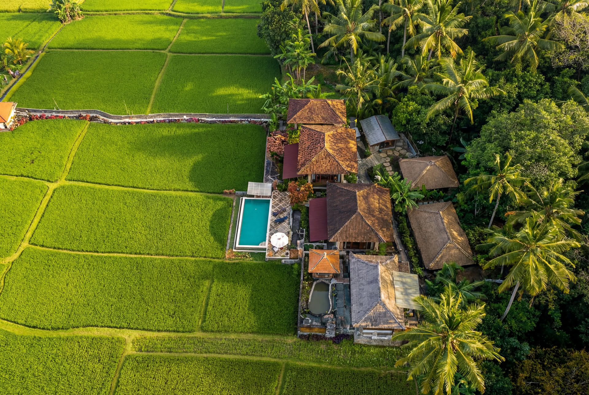 Unvergessliches 7-tägiges Yoga Retreat im Firefly Retreat Bali
