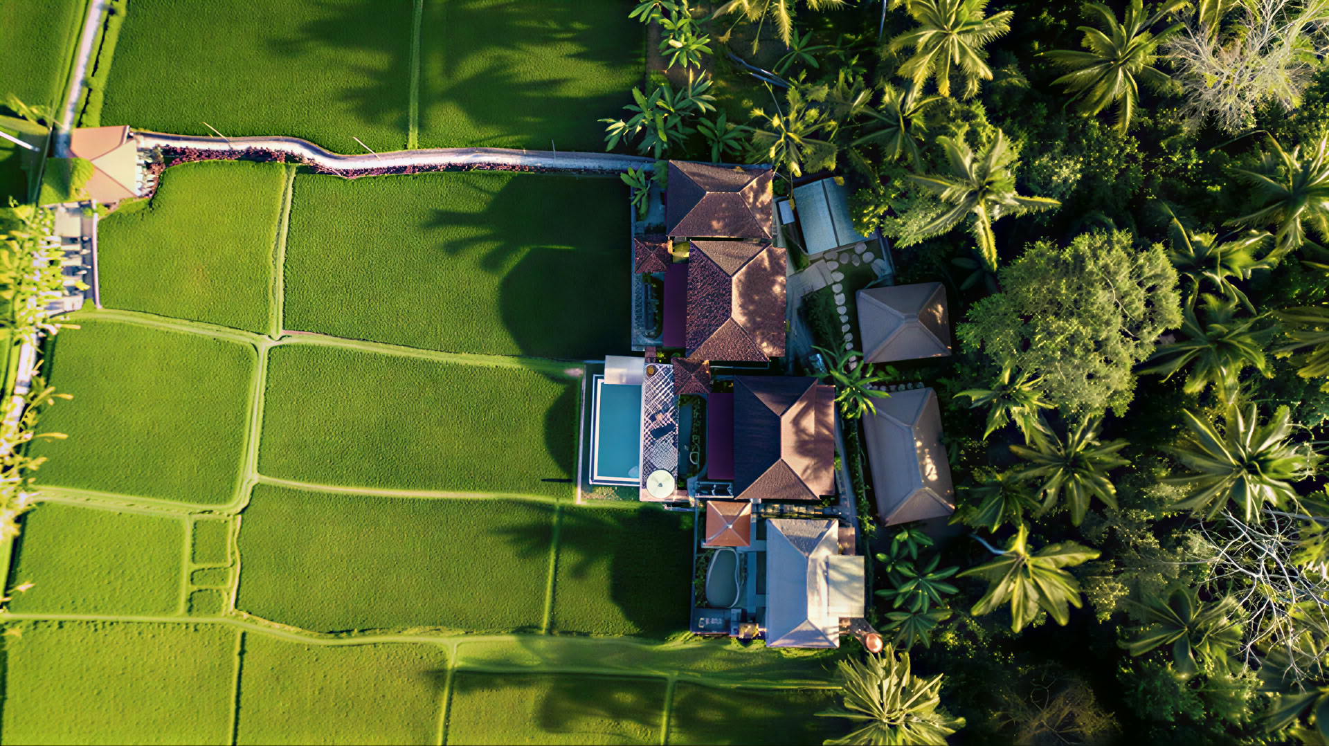 Unvergessliches 7-tägiges Yoga Retreat im Firefly Retreat Bali