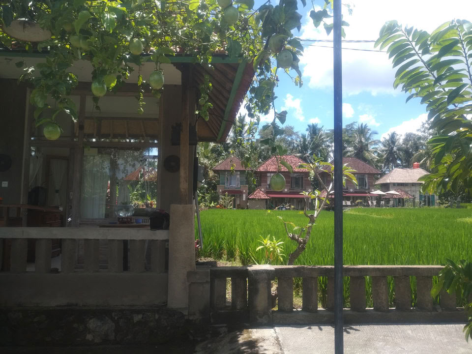 Unvergessliches 7-tägiges Yoga Retreat im Firefly Retreat Bali