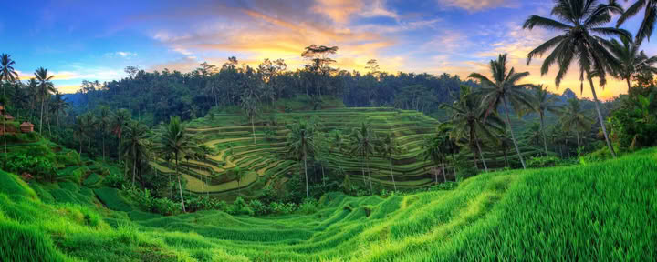 Unvergessliches 7-tägiges Yoga Retreat im Firefly Retreat Bali