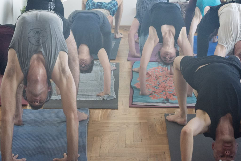 Ashtanga-Wochenend-Workshop mit David Garrigues