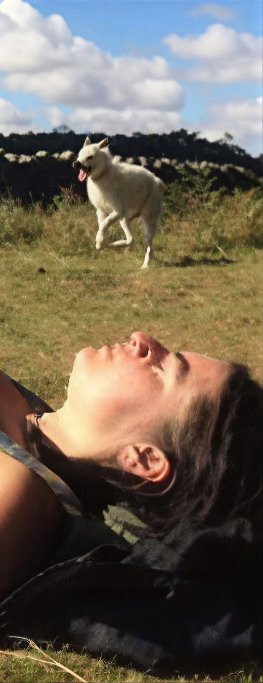 Der Kurs der Massagekunst