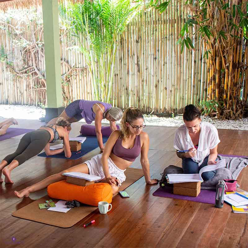 110h Anatomie- & Vinyasa-Yoga-Lehrerausbildung