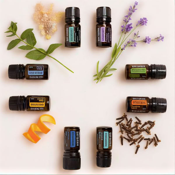Chakra Workshop