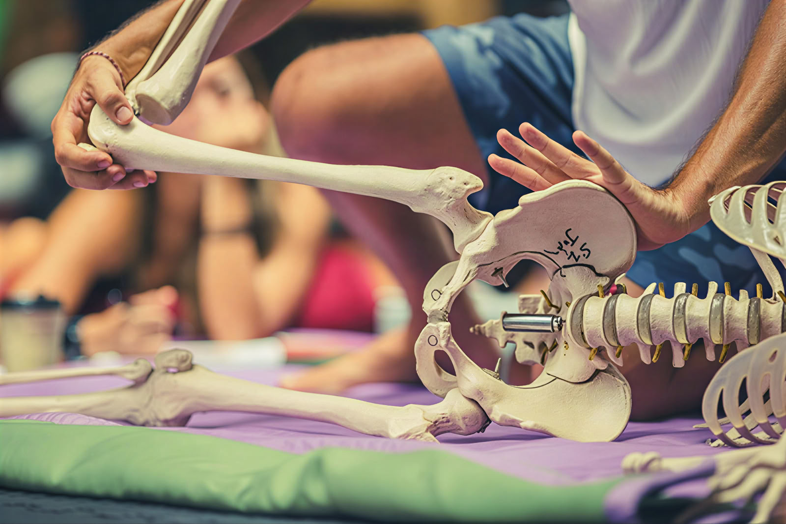 Fascia Universe 125 Std. Fortgeschrittenes Yoga- & Somatics-Training
