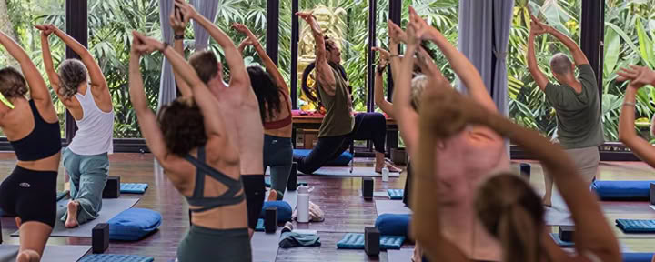 Fascia Universe 125 Std. Fortgeschrittenes Yoga- & Somatics-Training