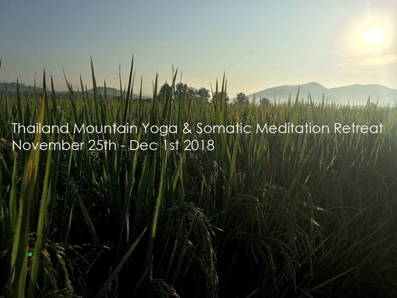 Somatisches Meditations-Yoga-Retreat Chiang Mai, Thailand