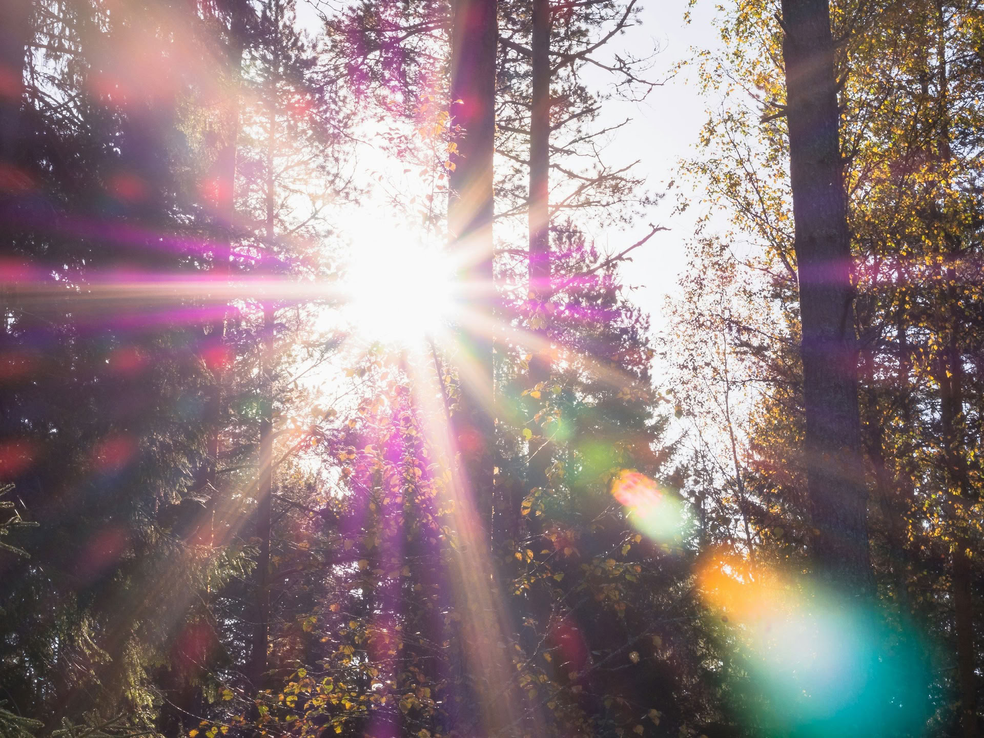 Sistertalk Retreats - SPÄTSOMMER-GLANZ: Mineral-/Natur-Element-Retreat — Wild Nature Retreats