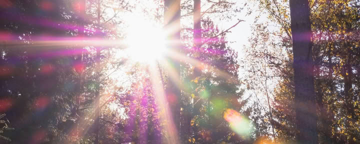 Sistertalk Retreats - SPÄTSOMMER-GLANZ: Mineral-/Natur-Element-Retreat — Wild Nature Retreats