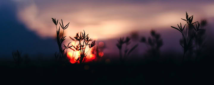 Creative Rest: Herbst-Retreat