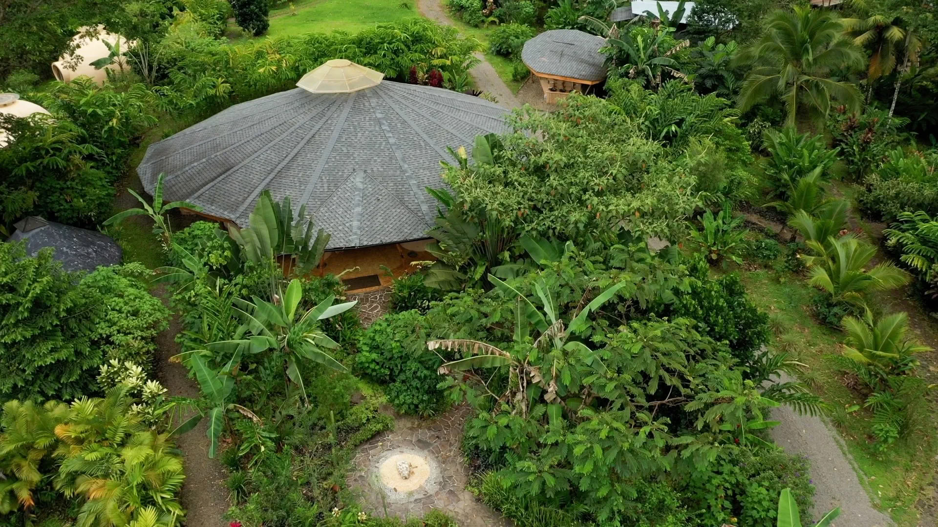 IPSALU Tantra Kriya Yoga I Level 2 Kobra-Atem — Brave Earth