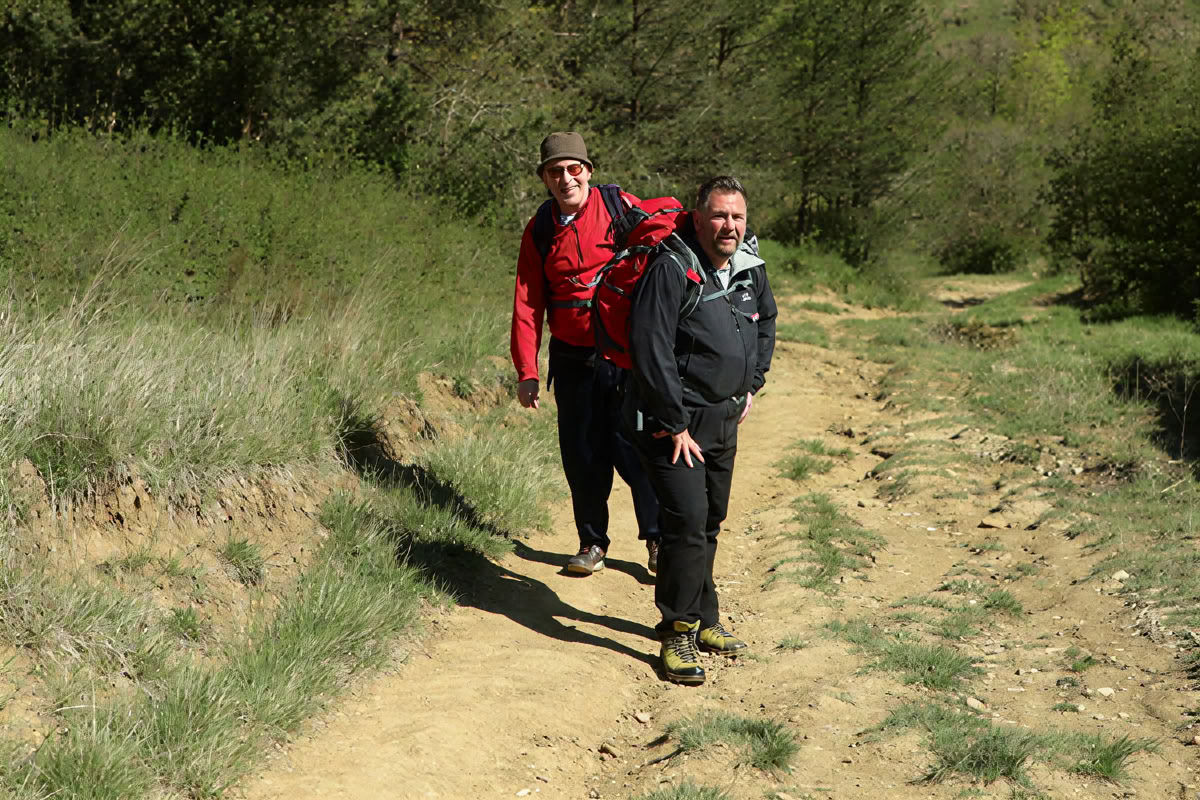 Healthy Heart Reset: Ein Weg zum Wohlbefinden