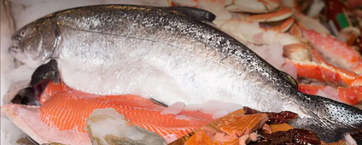 Fischhändlers Leitfaden