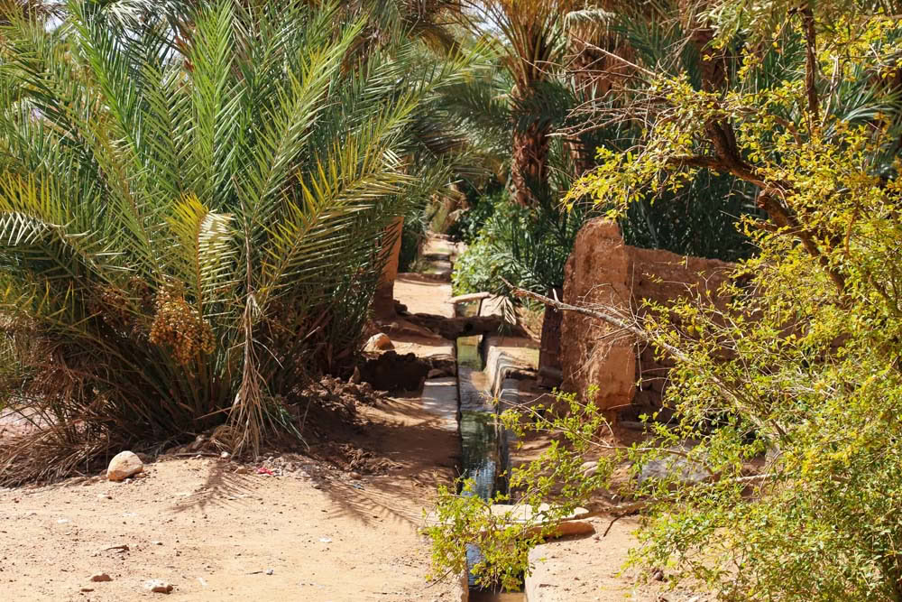 4 Tage Tour von Casablanca nach Marrakesch über die Wüste