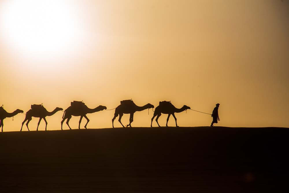 4 Tage Tour von Casablanca nach Marrakesch über die Wüste